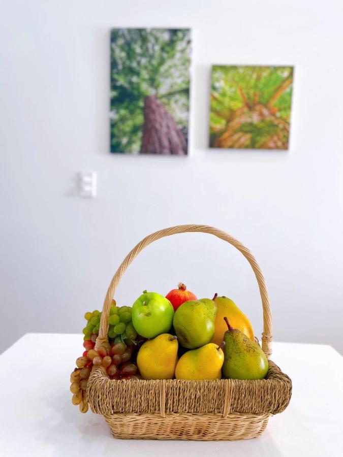 Nice Apartment Oasky Vung Tau 1805 エクステリア 写真